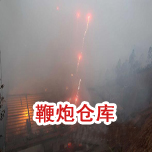 鞭炮倉庫污污污APP91免费工程